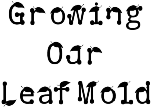 Growing Our Leaf Mold