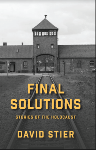 David Stier_Final Solutions_2019