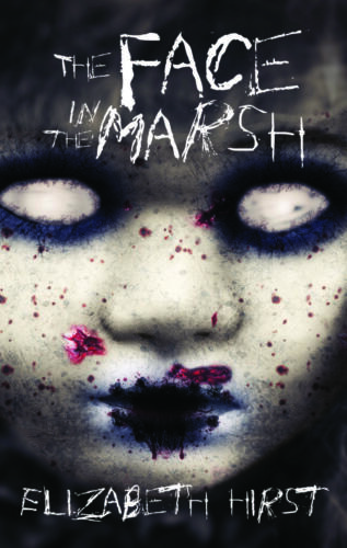 The Face in the Marsh by Elizabeth Hirst