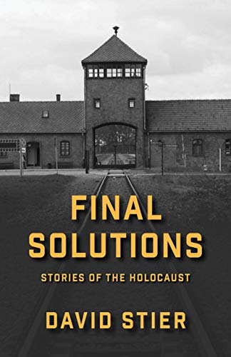 Final Solutions by David Stier